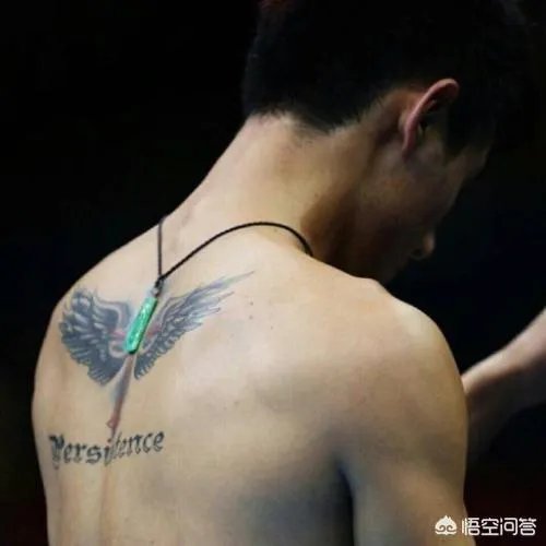 张继科为什么不选择退役?