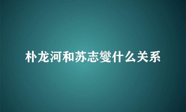 朴龙河和苏志燮什么关系