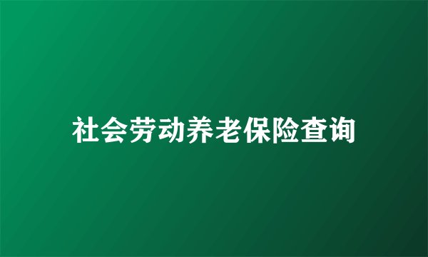 社会劳动养老保险查询
