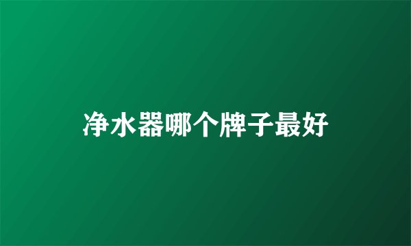 净水器哪个牌子最好