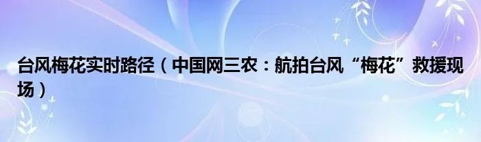 台风梅花实时路径（中国网三农：航拍台风“梅花”救援现场）