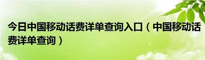 今日中国移动话费详单查询入口（中国移动话费详单查询）
