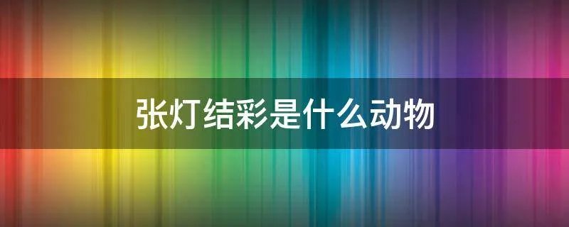 张灯结彩是什么动物