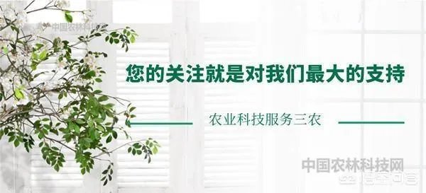 福建省漳平是哪个市?