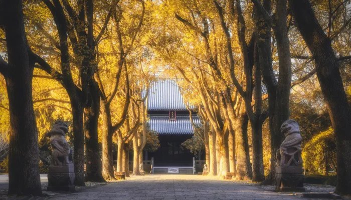 古代君王为什么自称寡人 古代君王为什么自称寡人是什么意思