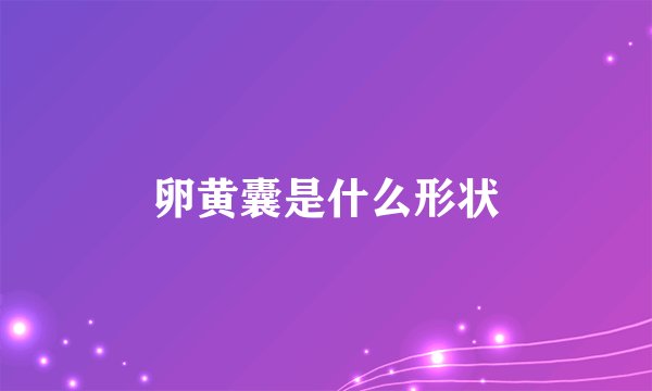 卵黄囊是什么形状