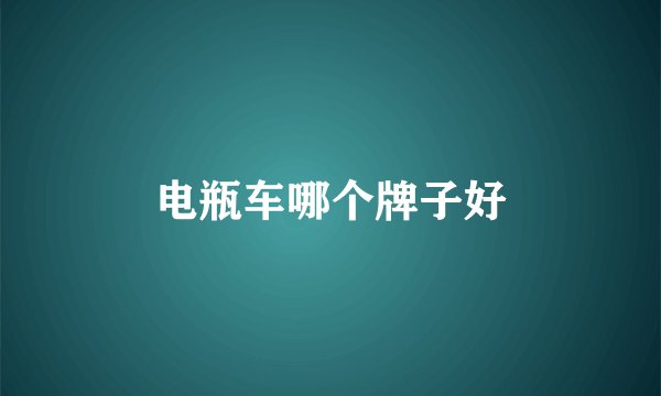 电瓶车哪个牌子好