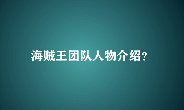 海贼王团队人物介绍？
