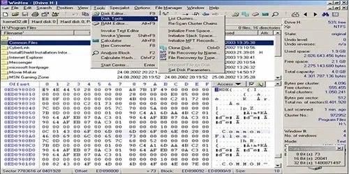 winhex中文版