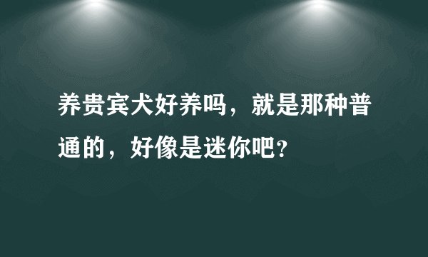 养贵宾犬好养吗，就是那种普通的，好像是迷你吧？