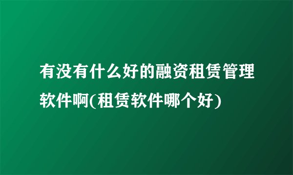 有没有什么好的融资租赁管理软件啊(租赁软件哪个好)