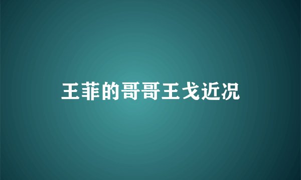 王菲的哥哥王戈近况