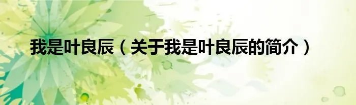 我是叶良辰（关于我是叶良辰的简介）