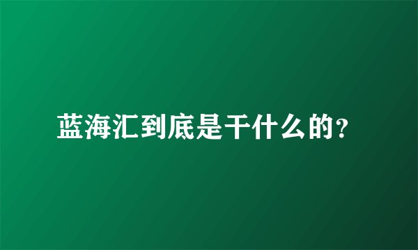 蓝海汇到底是干什么的？