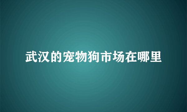 武汉的宠物狗市场在哪里
