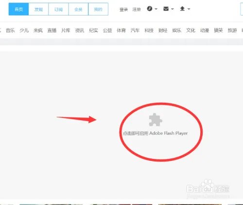 安装 Adobe Flash Player For Chrome