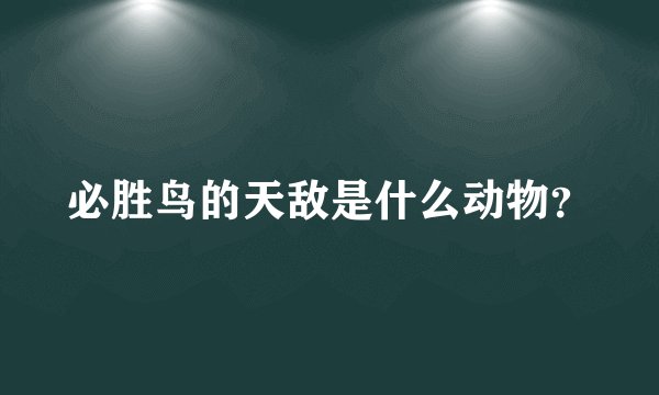 必胜鸟的天敌是什么动物？