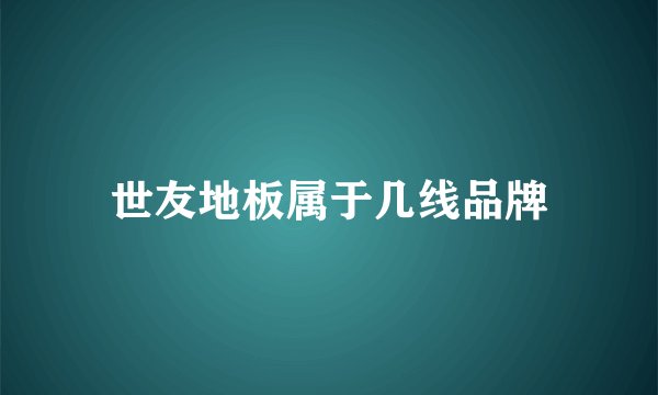 世友地板属于几线品牌