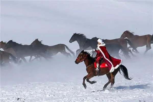 策马雪原的女副县长贺娇龙已履新,她的步步高升说明了什么?