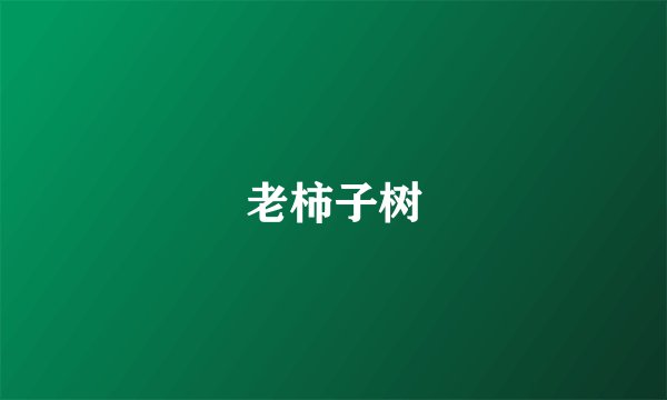 老柿子树