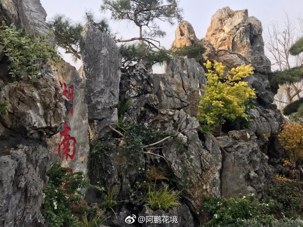 张家界style