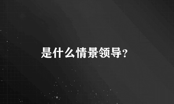 是什么情景领导？