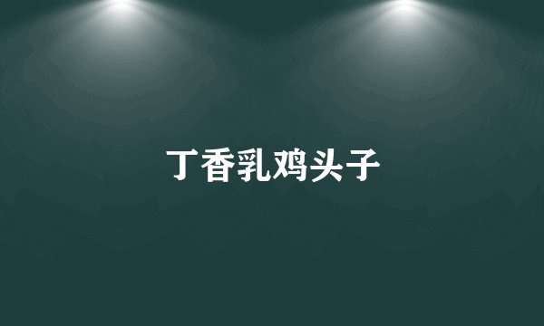 丁香乳鸡头子