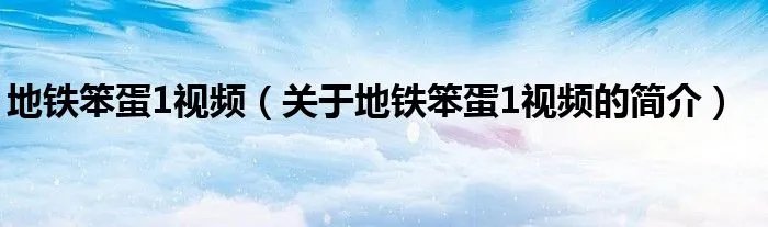地铁笨蛋1视频（关于地铁笨蛋1视频的简介）