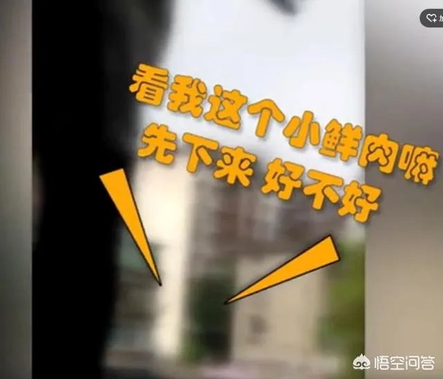 四川泸州一民警机智“撩妹”救下轻生女孩,你怎么看?