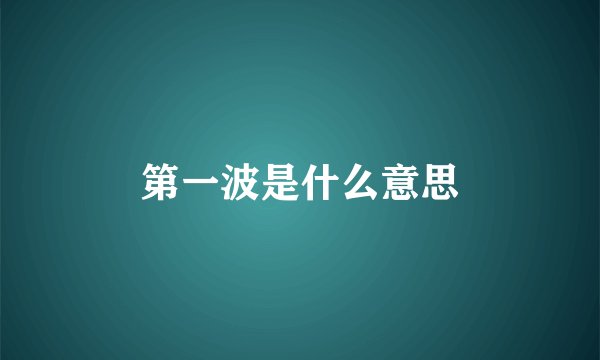 第一波是什么意思