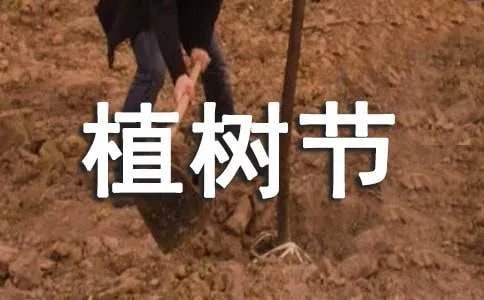 植树节名言