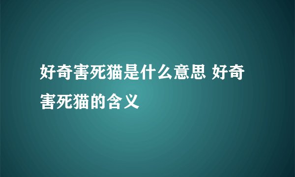 好奇害死猫是什么意思 好奇害死猫的含义