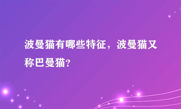 波曼猫有哪些特征，波曼猫又称巴曼猫？