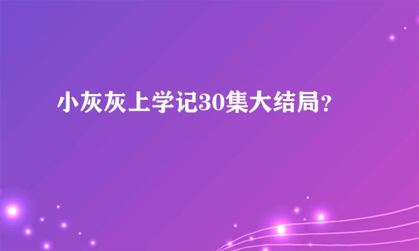 小灰灰上学记30集大结局？