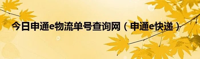 今日申通e物流单号查询网（申通e快递）
