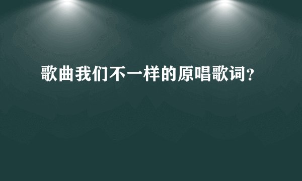 歌曲我们不一样的原唱歌词？