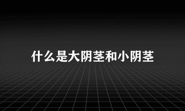 什么是大阴茎和小阴茎
