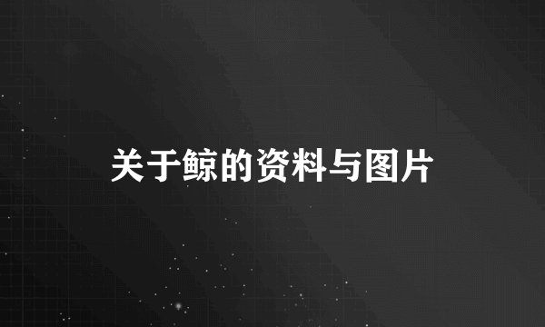 关于鲸的资料与图片