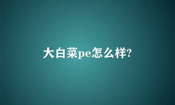 大白菜pe怎么样?
