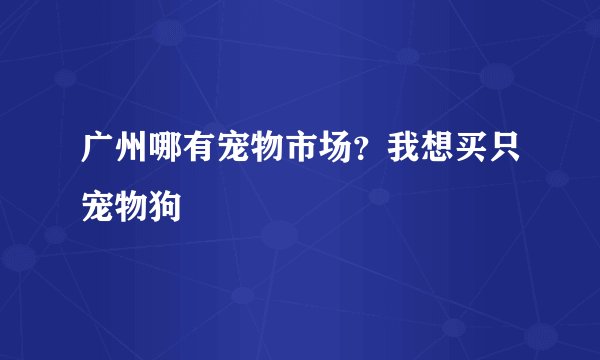 广州哪有宠物市场？我想买只宠物狗