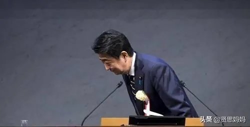 安倍正式宣布辞去首相一职，谁最有可能接替安倍担任日本首相？
