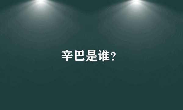 辛巴是谁？