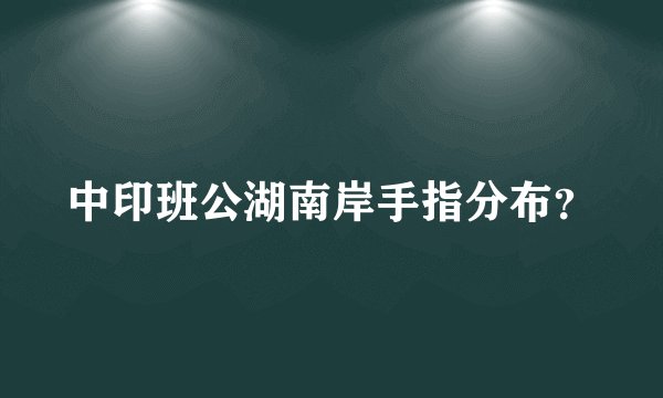 中印班公湖南岸手指分布？
