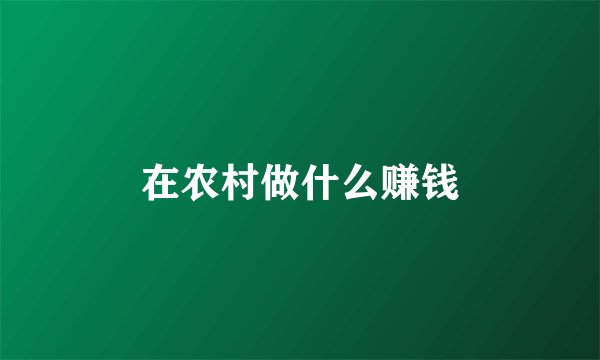 在农村做什么赚钱