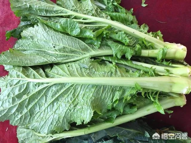 怎样腌酸菜？