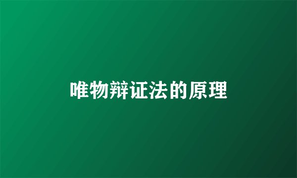 唯物辩证法的原理