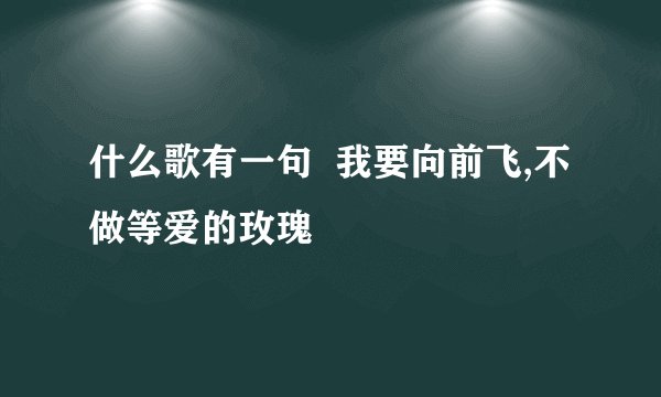 什么歌有一句  我要向前飞,不做等爱的玫瑰
