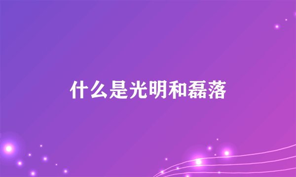 什么是光明和磊落