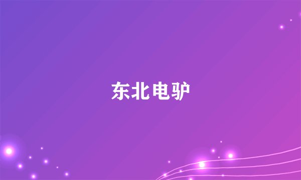 东北电驴