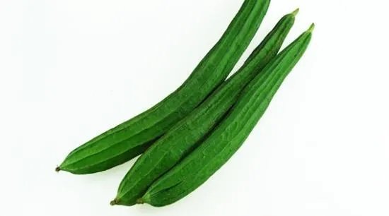 持续高温对丝瓜种植有什么影响?